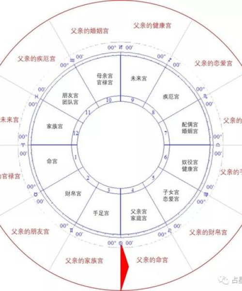 命运星图揭秘，最新占卜攻略与深度探索指南