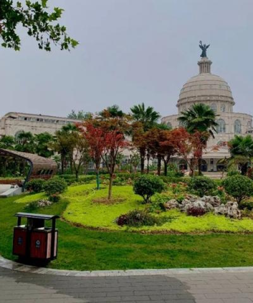 郑州小树视频全新集萃，揭秘儿童教育创新之路