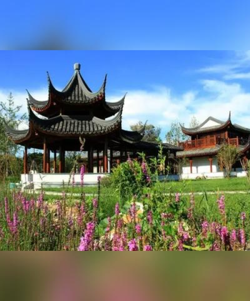 揭秘天津落户隐患，深度分析落户背后的潜在风险与坏处