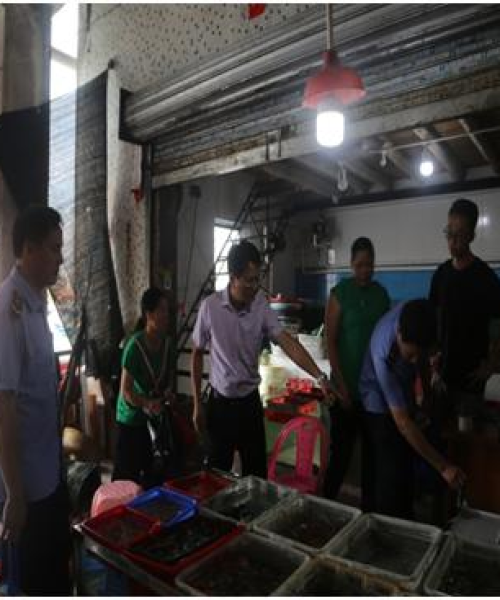 惠东欺客案件整治最新进展，严厉打击，维护消费者权益！