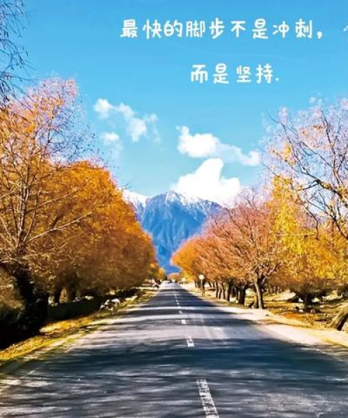 励志现场语录集锦与图片分享，激发无限正能量！