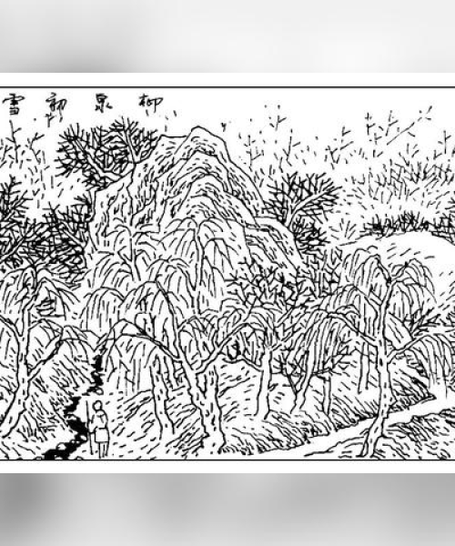 南山小溪自然探索之旅，绝美攻略尽享自然之美
