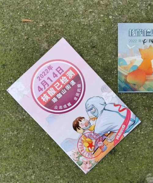 Bv检测公司排名榜，揭秘行业领军者的制胜秘诀！
