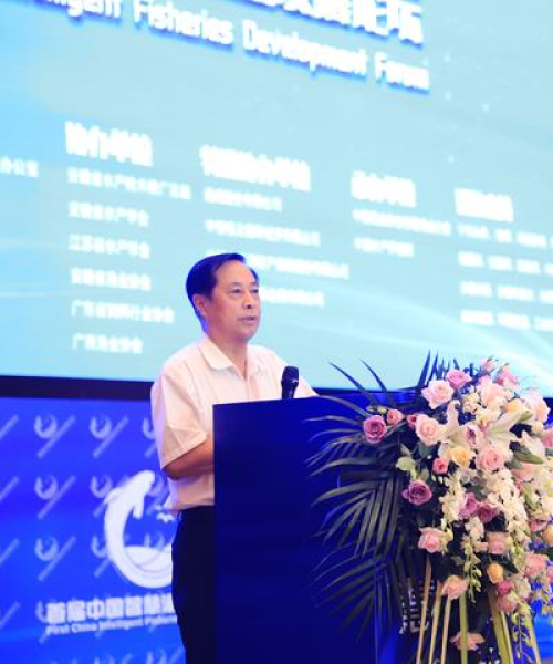 全国养鱼基地TOP10榜单揭晓，探寻中国渔业繁荣的秘密之源