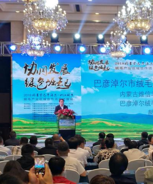浙江热点聚焦，今日头条新闻解读区域发展新动向