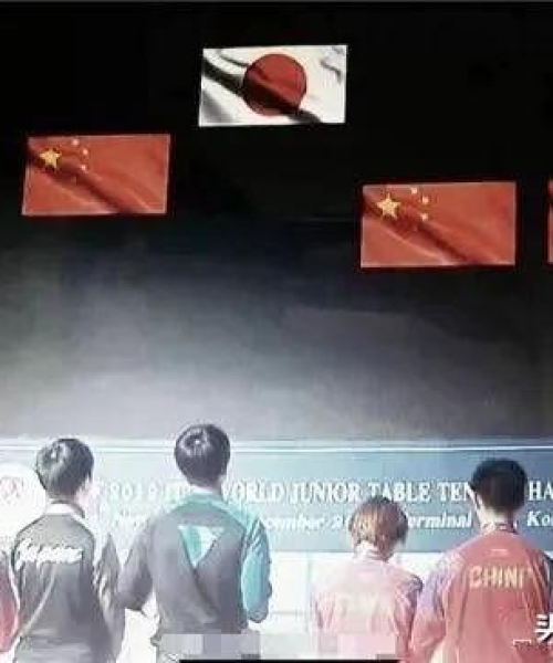 乒乓球单打世界排名揭秘，顶尖选手竞争格局与独步江湖的技艺风采