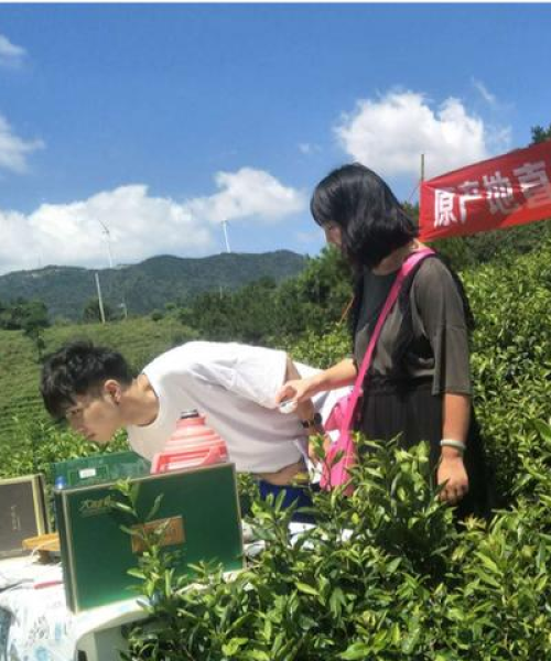 灵气宝宝全方位培养攻略，最新指南助你助力宝宝全面发展