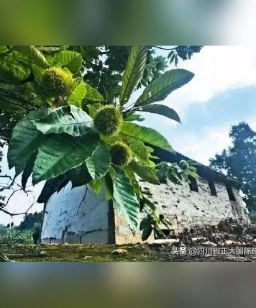 最新金华砌墙建筑招工信息汇总