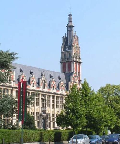 布鲁塞尔自由大学全球影响力揭秘，VUB世界排名探究