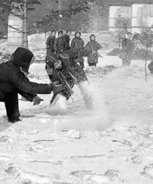 威海雪地游玩全攻略