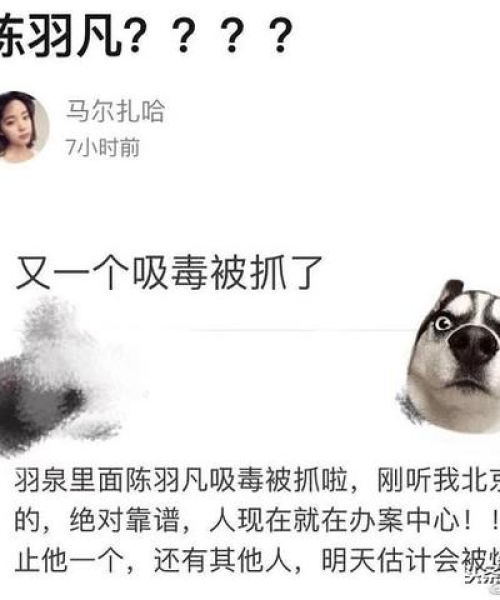 揭秘离婚诉讼格式全攻略，从百度检索到法律实操详解