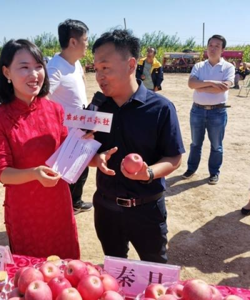 头条新闻搜索设置攻略，站长指南与实用技巧全解析