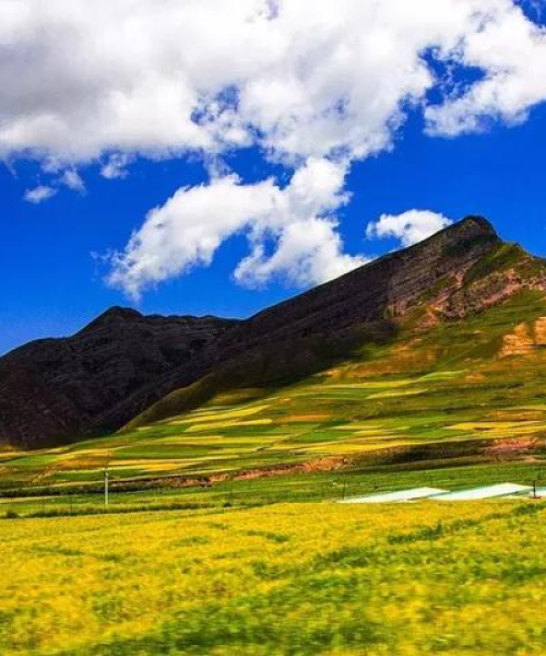 独家首发，大峡谷南线旅游攻略，最新探索与极致体验