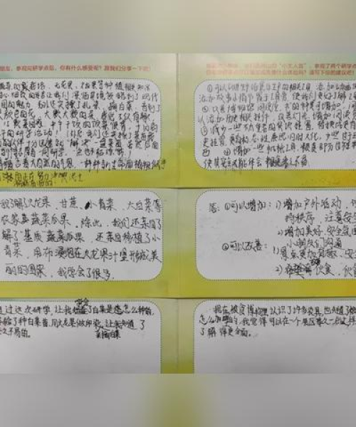 佛山夏令营机构排名榜，专业夏令营公司TOP榜单探索最佳夏令营机构