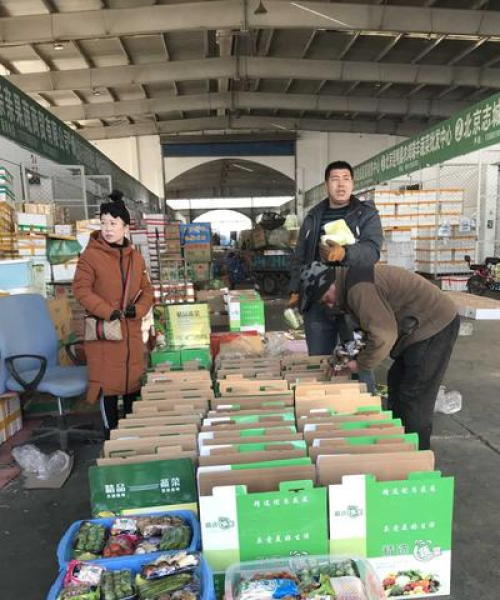 豆角产地最新价格动态，市场走势分析，种植户应对策略探讨