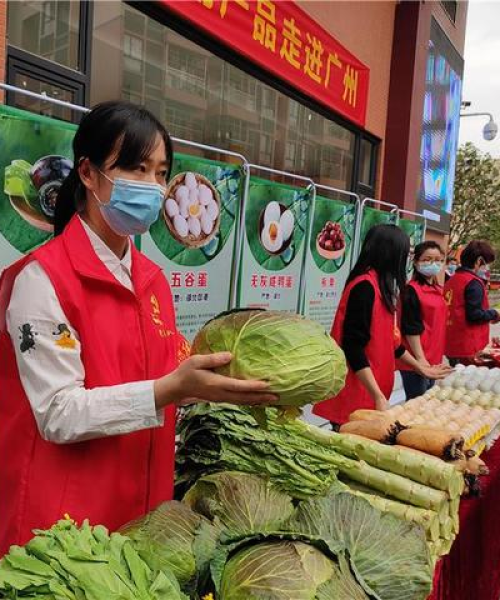 洪湖新闻网实时更新，疫情最新动态速览