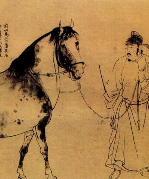 安徽亳州至苏州旅行全攻略，最新详细指南助你畅游旅程