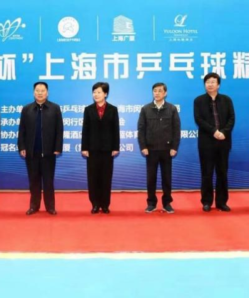 乒乓球传奇曹燕华的世界排名与辉煌历程