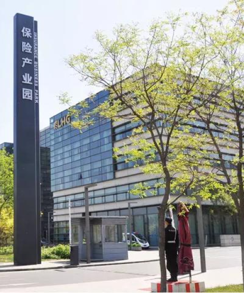 合资寿险公司排名揭秘，市场格局展望与未来趋势探究