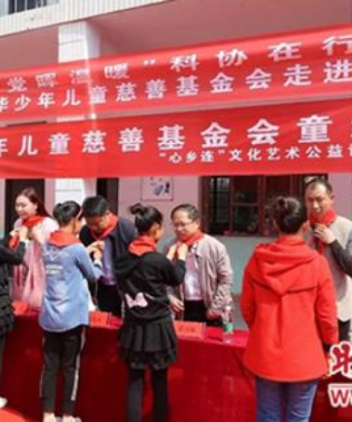 张井村新闻聚焦，乡村振兴与社区发展新动态
