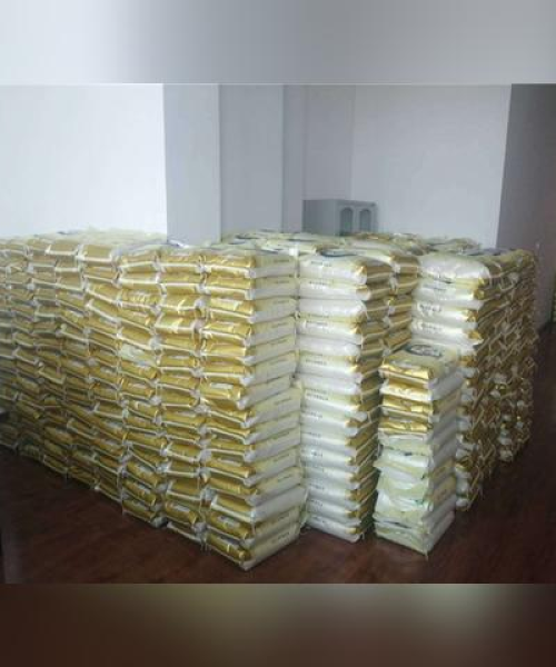 敦化过年新动态，最新消息一网打尽