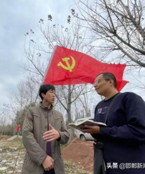 馆陶新闻速递，地方发展最新动态与重磅公告速览