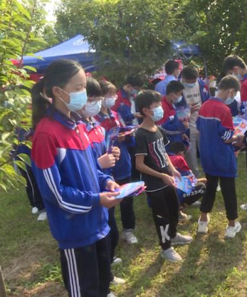 电脑任务栏内的百度奥秘，探索与解析之旅