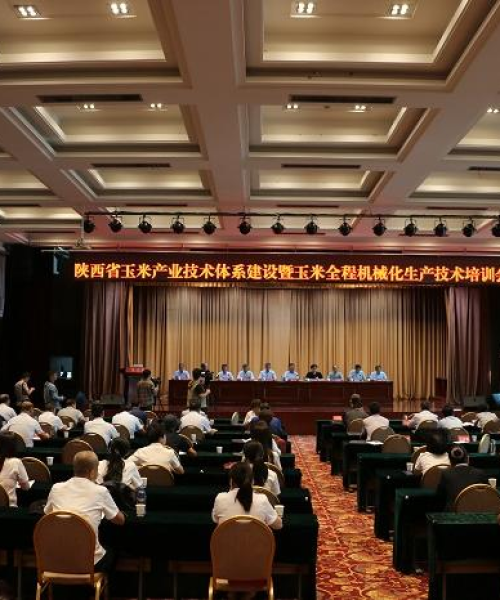 陕西玉米公司排名大揭秘，行业领军者的成长奥秘探索