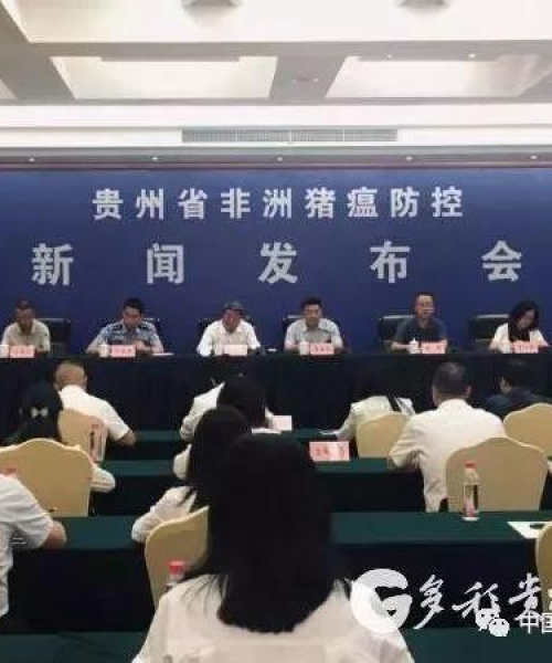 揭秘贵州生猪市场，百度下的深度解析与生猪价格走势展望