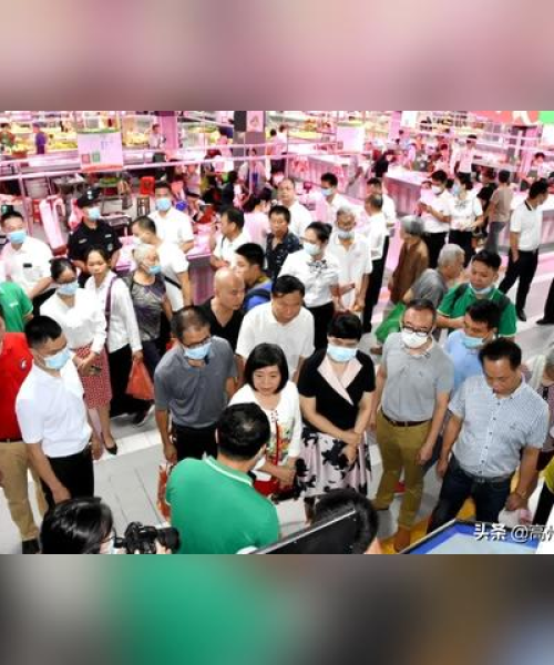 高州最新新闻聚焦，城市发展与民生改善同步前行