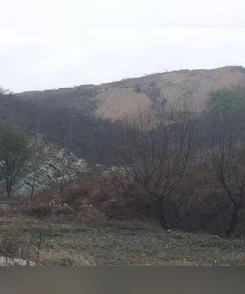 山东临城矿山最新动态，矿业发展掀起新篇章