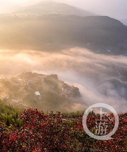巫山红叶盛宴，醉美旅游攻略，必赏美景一网打尽！