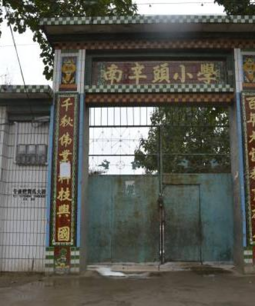 馆陶花生价格行情深度解析，最新行情查询与探讨