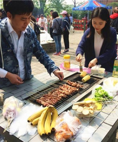 合肥茄子今日行情，最新价格与市场深度解析