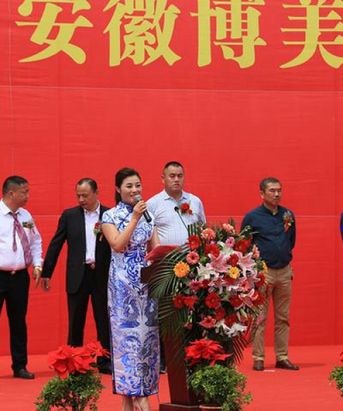 最新石材加工机械价格及购买设备全面指南