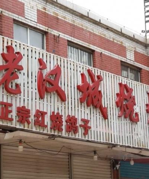 唐山事件深度解析，杂谈最新视频完整版探讨