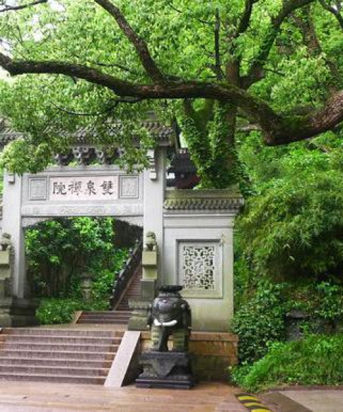舟山超市抢米事件真相揭秘，最新视频报道与动态探究