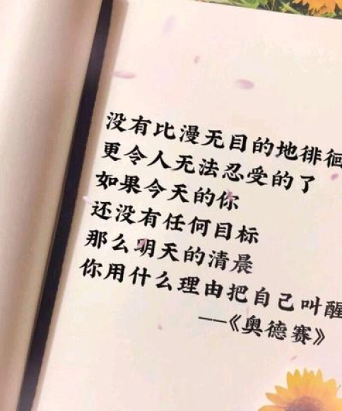 励志语录与自律培养，从娃娃抓起的小学篇学习指南
