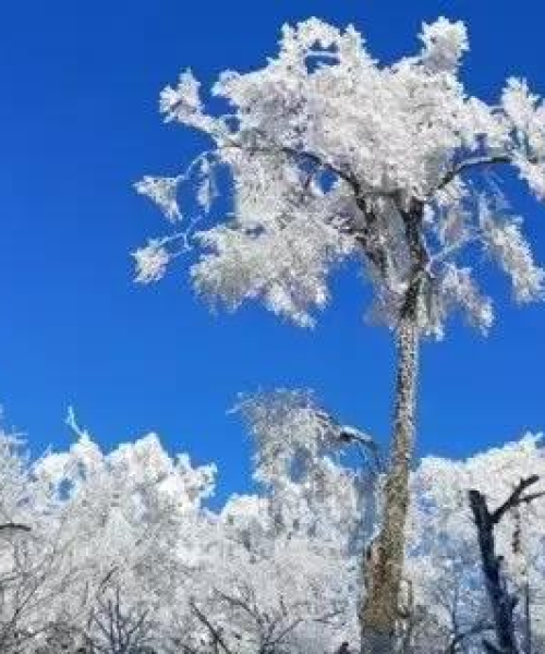 锦绣潇湘新闻头条揭秘湖南繁荣发展的奥秘！