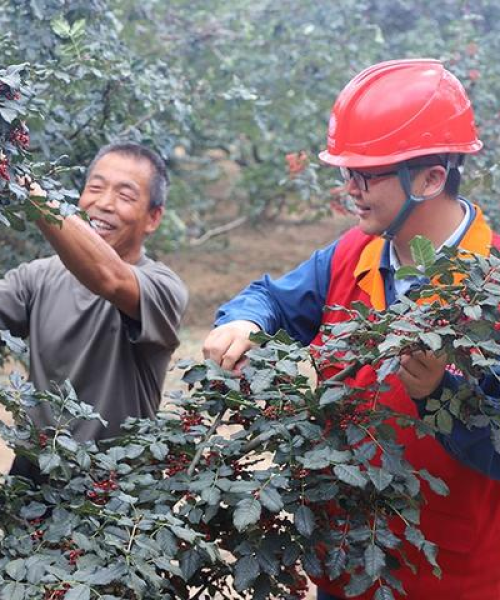 天水旅游隔离攻略，安全无忧，畅游无忧之旅