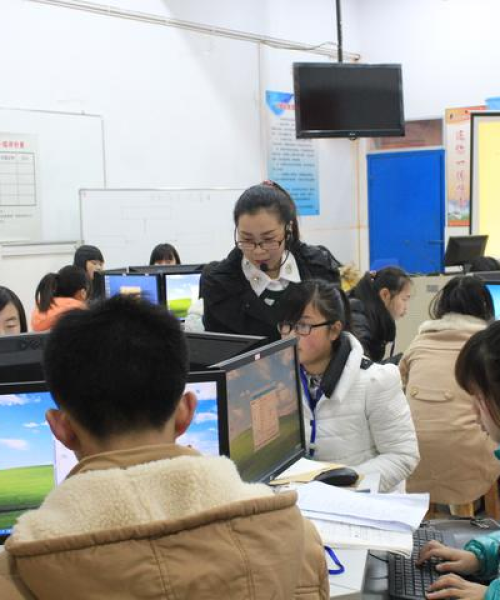 岳阳牛价最新动态，市场走势、影响因素深度解析