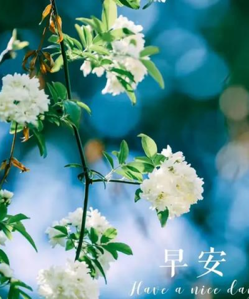 励志青春，砥砺前行，班级励志语录点燃梦想之火