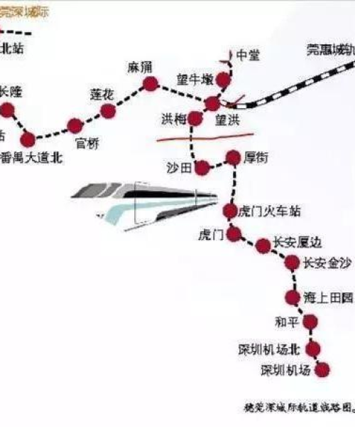 增城早茶，探秘排名前十的独特魅力与风味