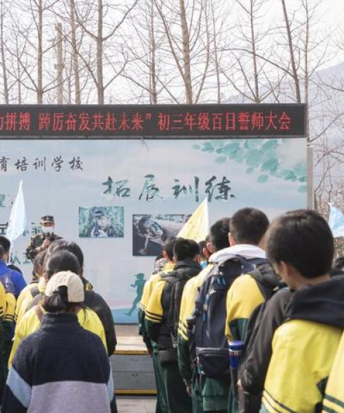 励志语录与视频素材，激发潜能的终极力量源泉