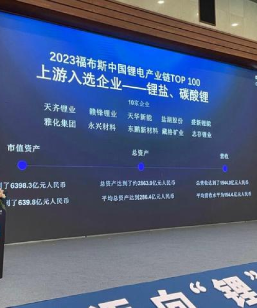 赣锋锂业是否涉足煤矿投资？最新消息深度解析