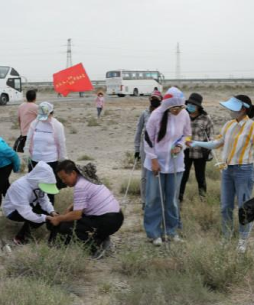 嘉峪关旅游全攻略，最新指南畅游雄关胜地
