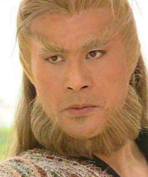 盾岛游玩指南，探索绝美风光，体验独特魅力！