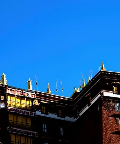 林芝冬季秘境探索，雪域高原旅游攻略全攻略