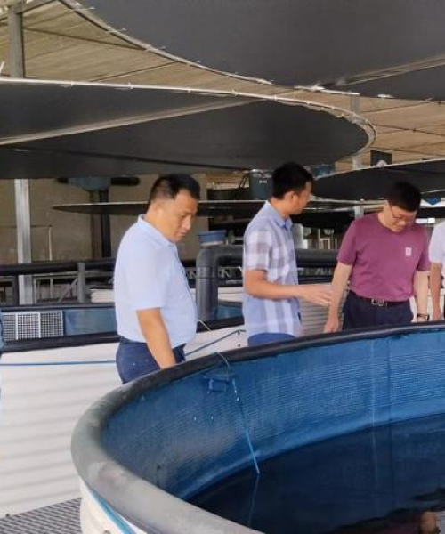 会昌设计公司权威排名榜，深度解读当地设计行业领军者