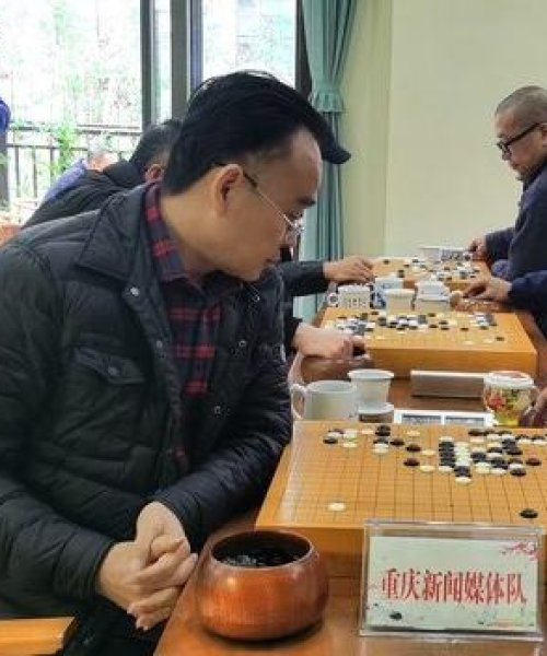 今日围棋赛事速递，最新信息一览表